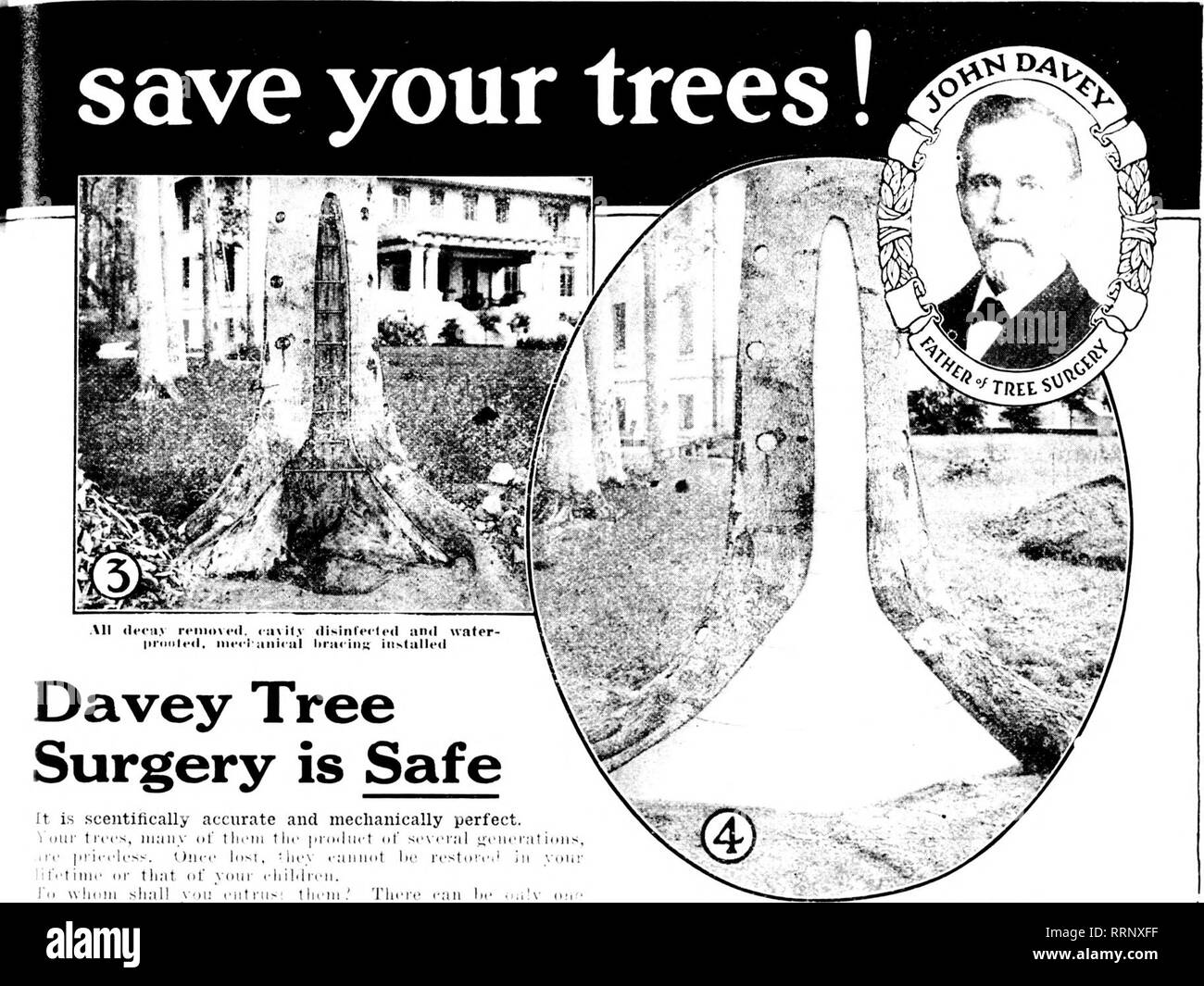 Florists Review Microform Floriculture Antii I J 1917 The Florists Review All Tl M Ih Ri Iiio I D I Iil Ili Gt Inl Lt M L Lt Lt L Anil Uater Lirtiiilcil Hum I Aiiii Ill Iinii Iiiu Iiislulletl Davey Tree Surgery Is Safe Florists Review Microform Floriculture Antii I J 1917 The Florists Review All Tl M Ih Ri Iiio I D I Iil Ili Gt Inl Lt M L Lt Lt L Anil Uater Lirtiiilcil Hum I Aiiii Ill Iinii Iiiu Iiislulletl Davey Tree Surgery Is Safe