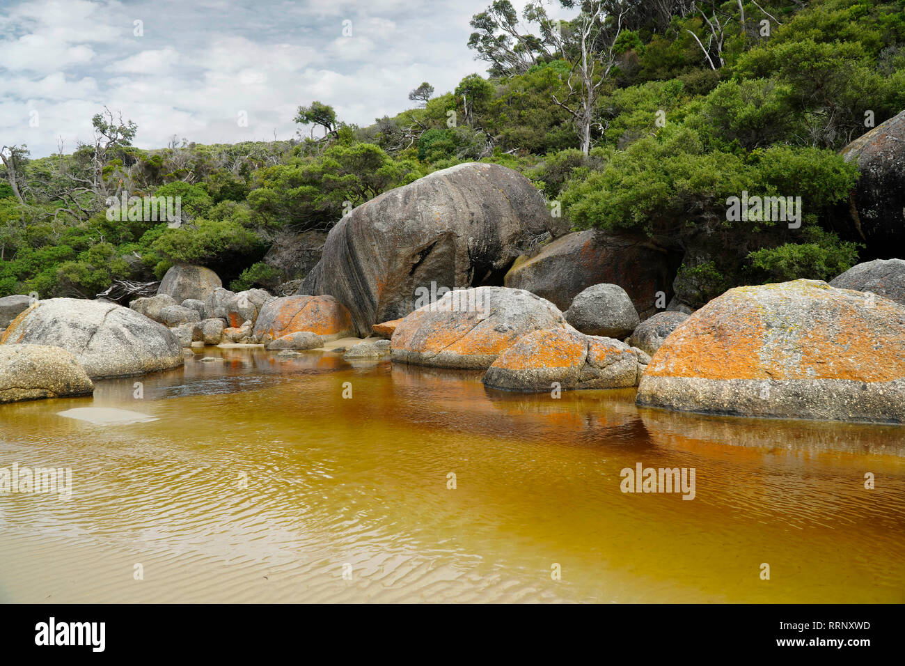 Wilsons Prom National Park in Victoria Australia this is the southern most point on the Wilsons Prom National Park in Victoria Australia this is the southern most point on the