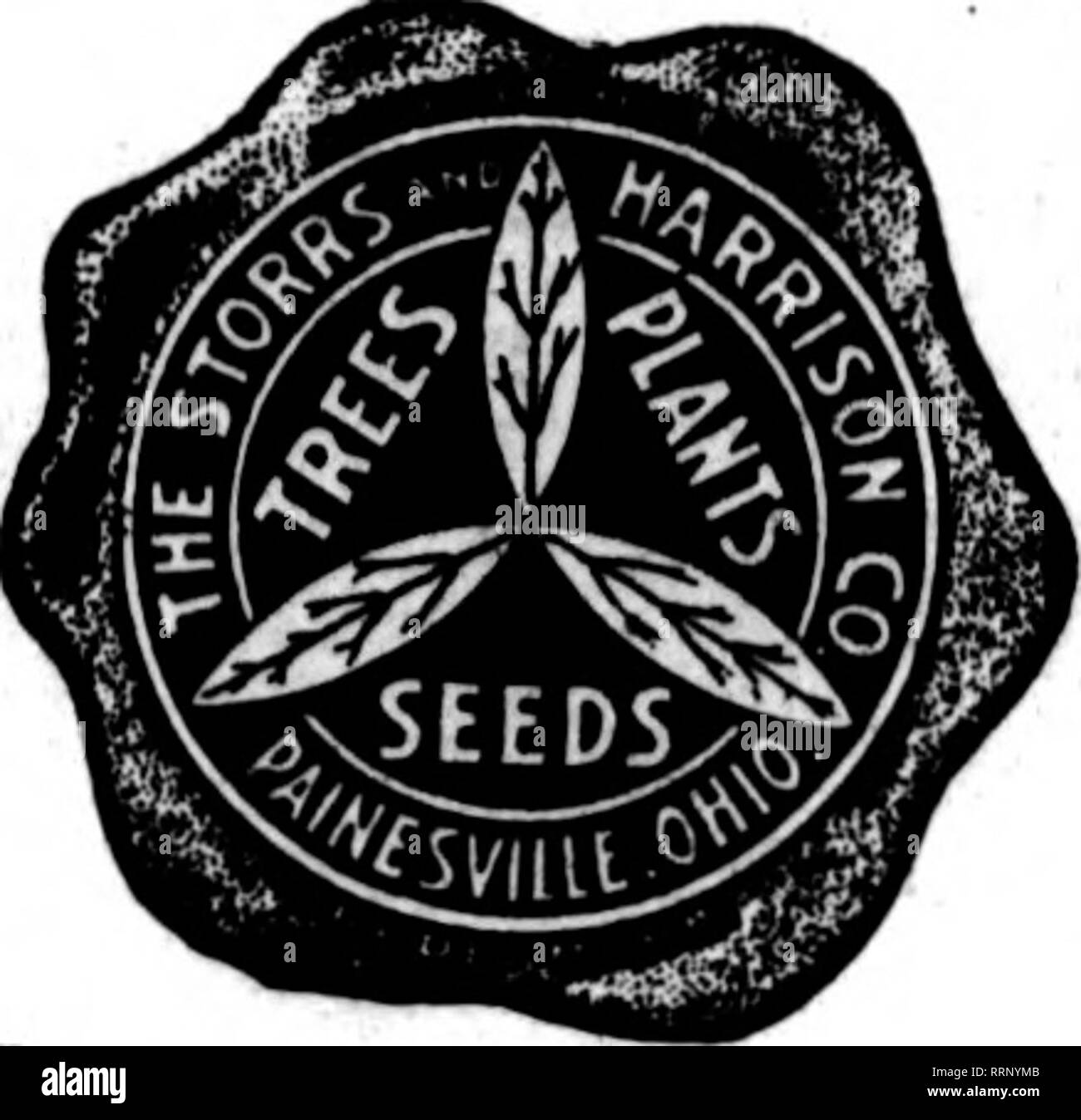 . Florists' review [microform]. Floriculture. Rubrum Lily Bulbs 6/8 $5.00 per 100 7/9 6.00 per 100 8/9 6.50 per 100 M. M. CARROLL NORWOOD (Cincinnati) OHIO Mention The BsTlew wh«n yon writs. PRIMROSE SEED IMPROVED CHINESK, flnost grown, single tod double, mixed, 650 seeds, $1.00; lOOO seeds, li'SS; ^ pkt., 60c. Colors separate also. PRIDICLA KIS WKNSIS, new dwarf yellow. 25c. PrnmULA MALACOIDES, Giant Babr,25c. CINERARIA, large flowering dwarf mixed, lOOO seeds, 60c; &gt;a pkt., 26c. CYCLAMEN Olganteum, finest giants, mixed, 260 seeds. $1.00; &quot;a pkt.. 60c. ^?IMW I PANSY flowering varietie Stock Photo