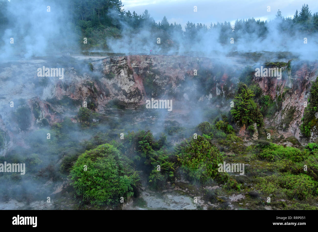 Oceania, New Zealand, Aotearoa, North Island, Taupo, Craters of the Moon, Thermal Area Stock Photo