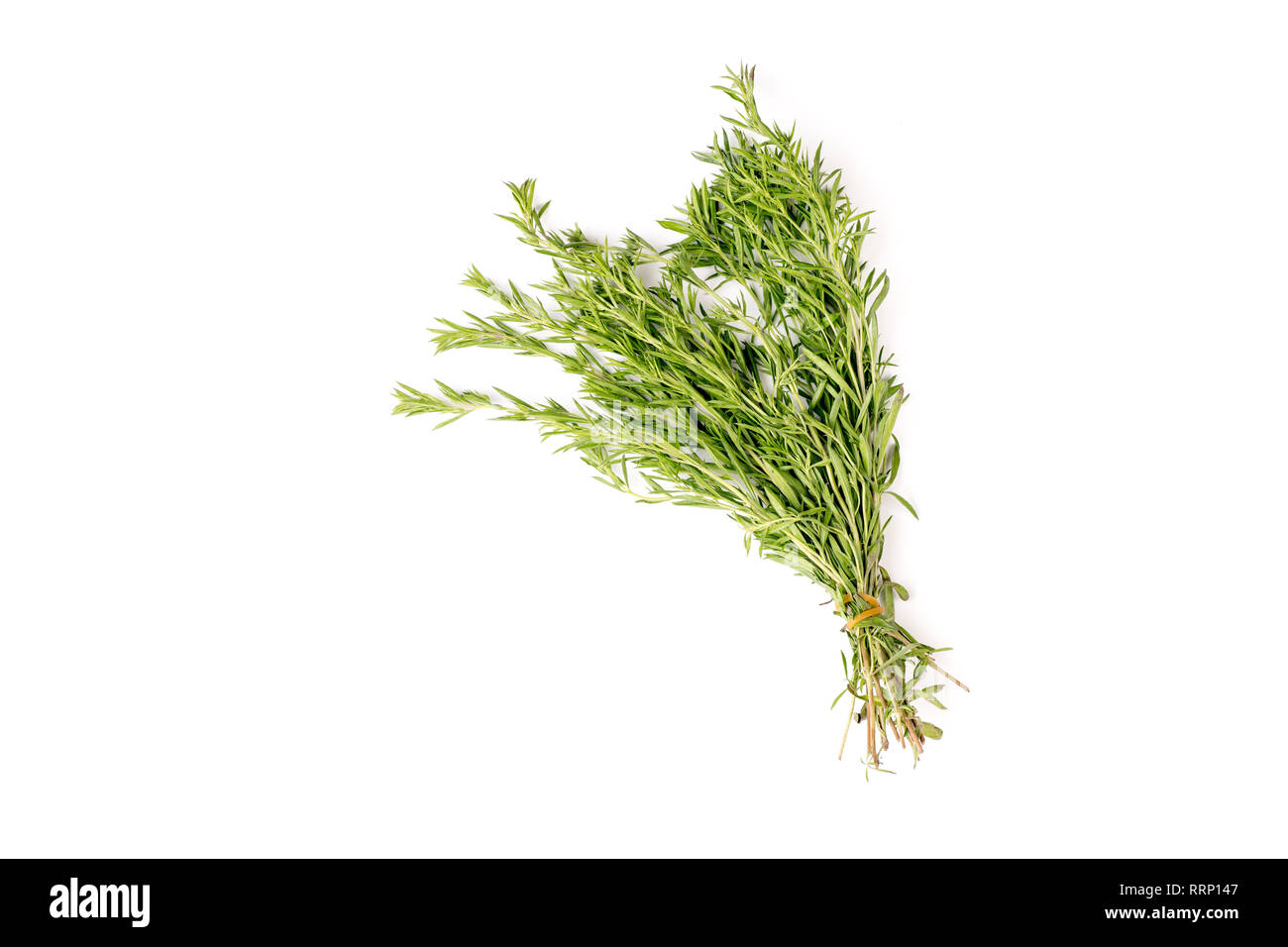 Bunch of organic rosemary isolated on white background Stock Photo - Alamy
