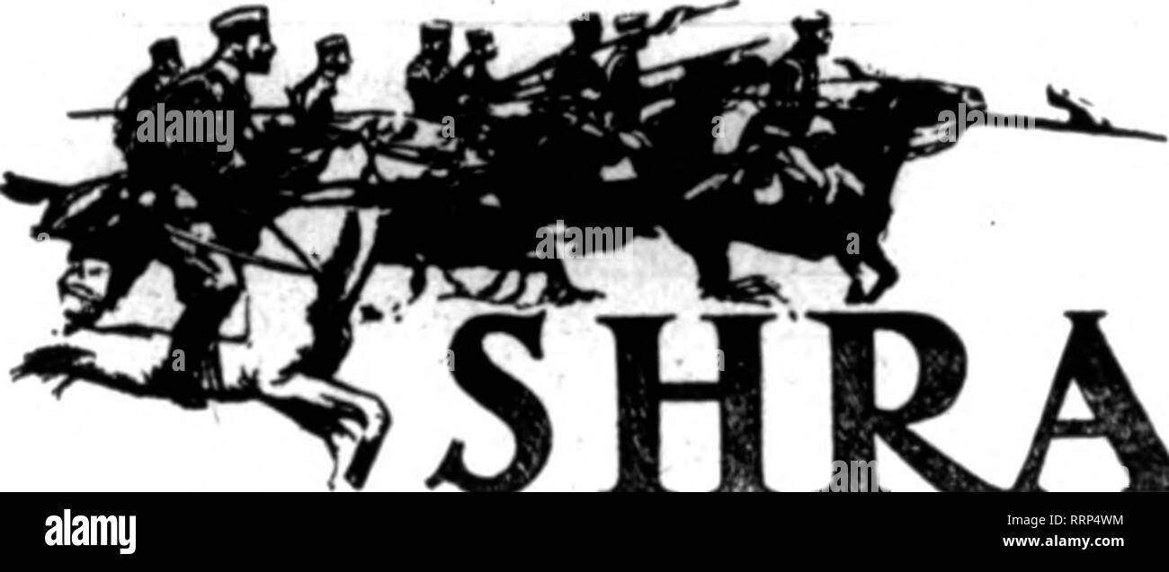 Egg lay insect Black and White Stock Photos & Images Alamy