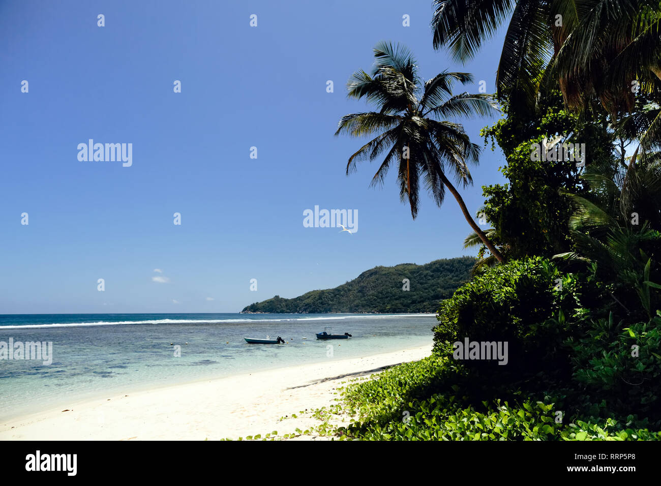 exotic tropical beach view. Seychelles, Anse Forbans. Stock Photo