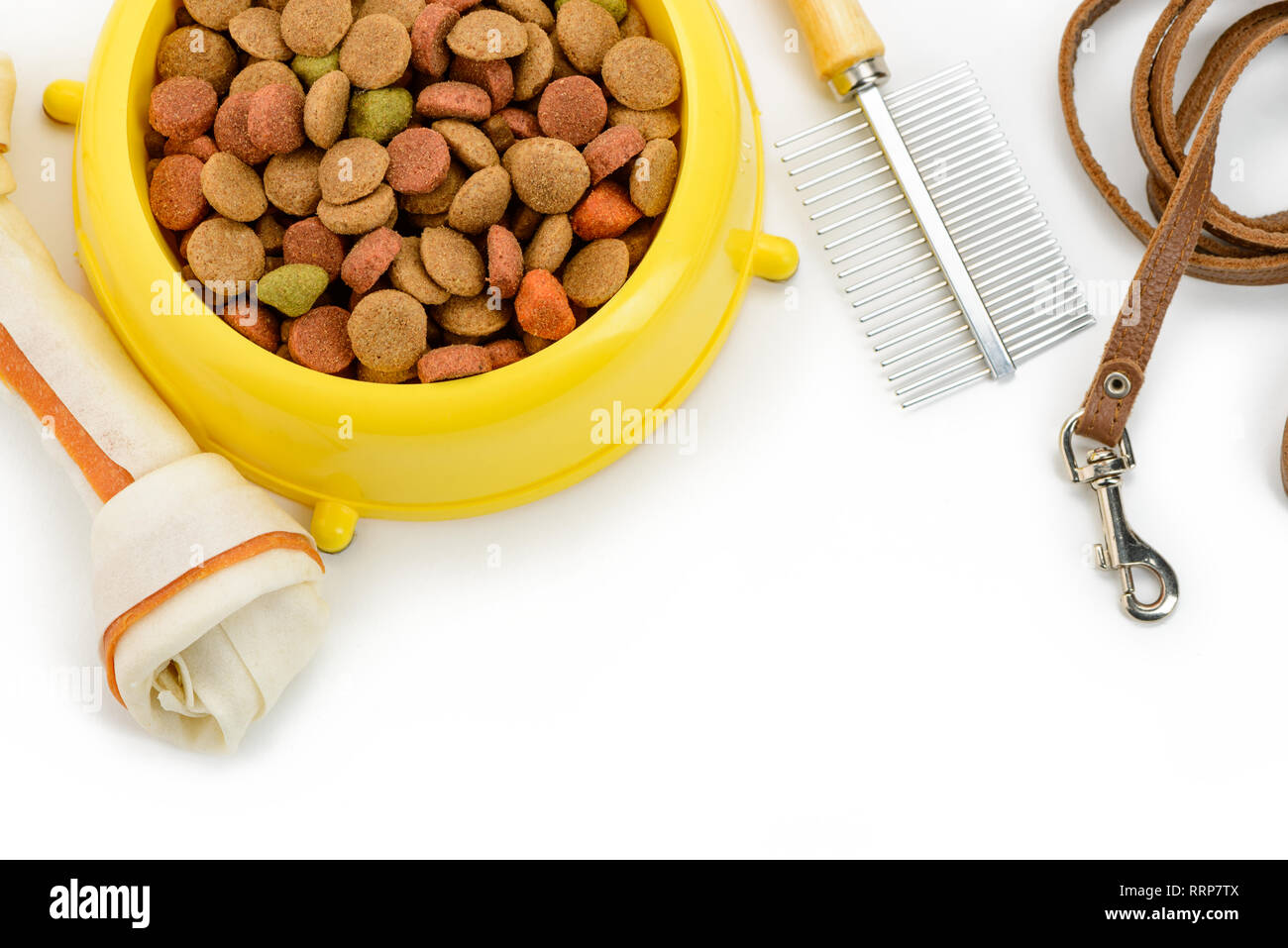 Dog food, brush and leash Stock Photo