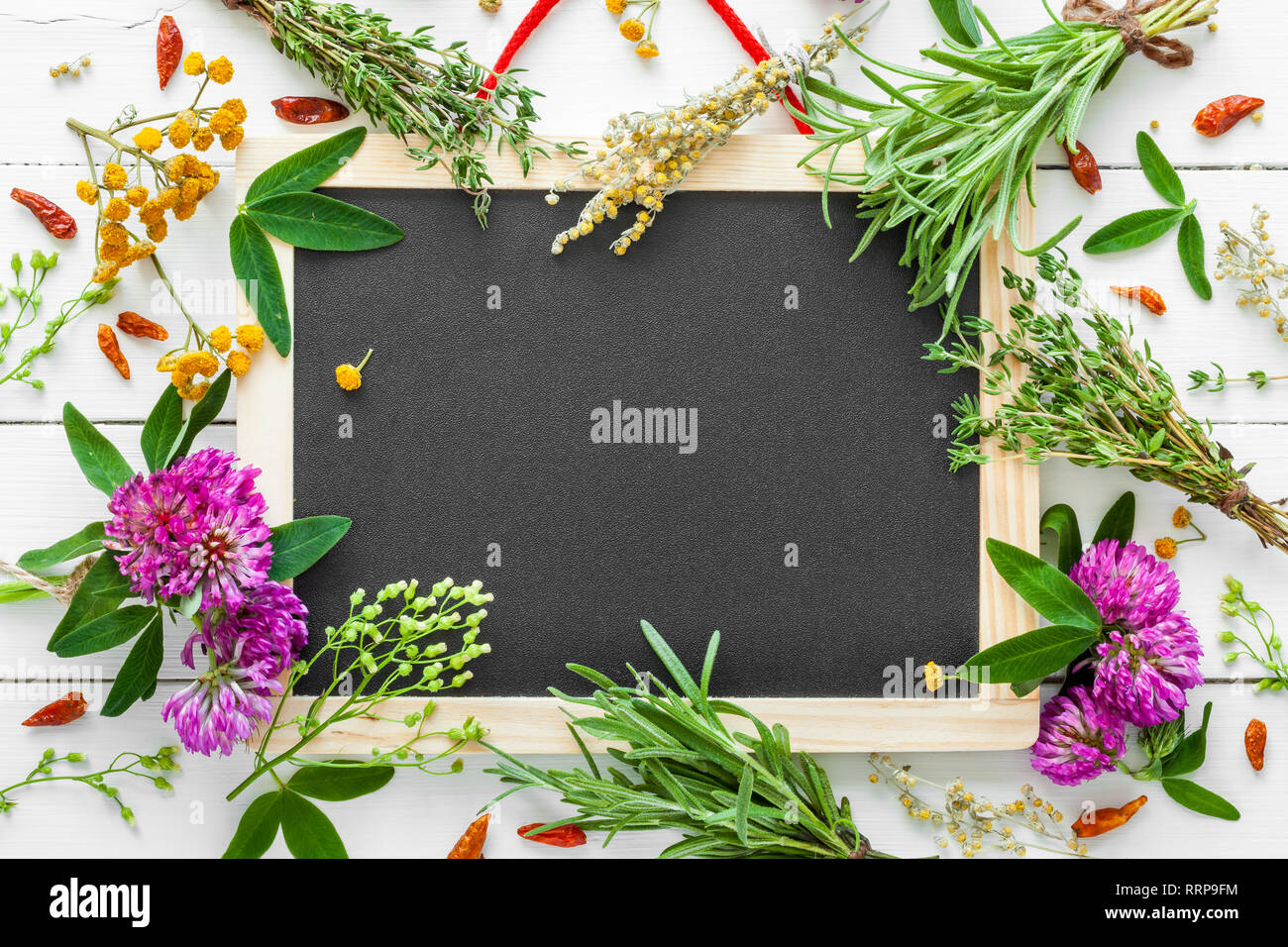 Empty blackboard and healing herbs. Top view, flat lay. Stock Photo