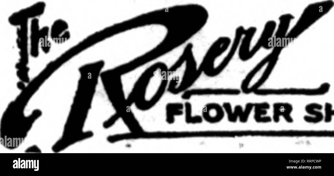 Florists' review [microform]. Floriculture. Albany, New York EiS ALBANY,  N.Y. 23 STEUBEN STREET PLOWER SHOP it^^r^r- ' orders to us.. scon THE  FLORIST BUFFALO, NEW YORK lAfll OAN 8 ud 6