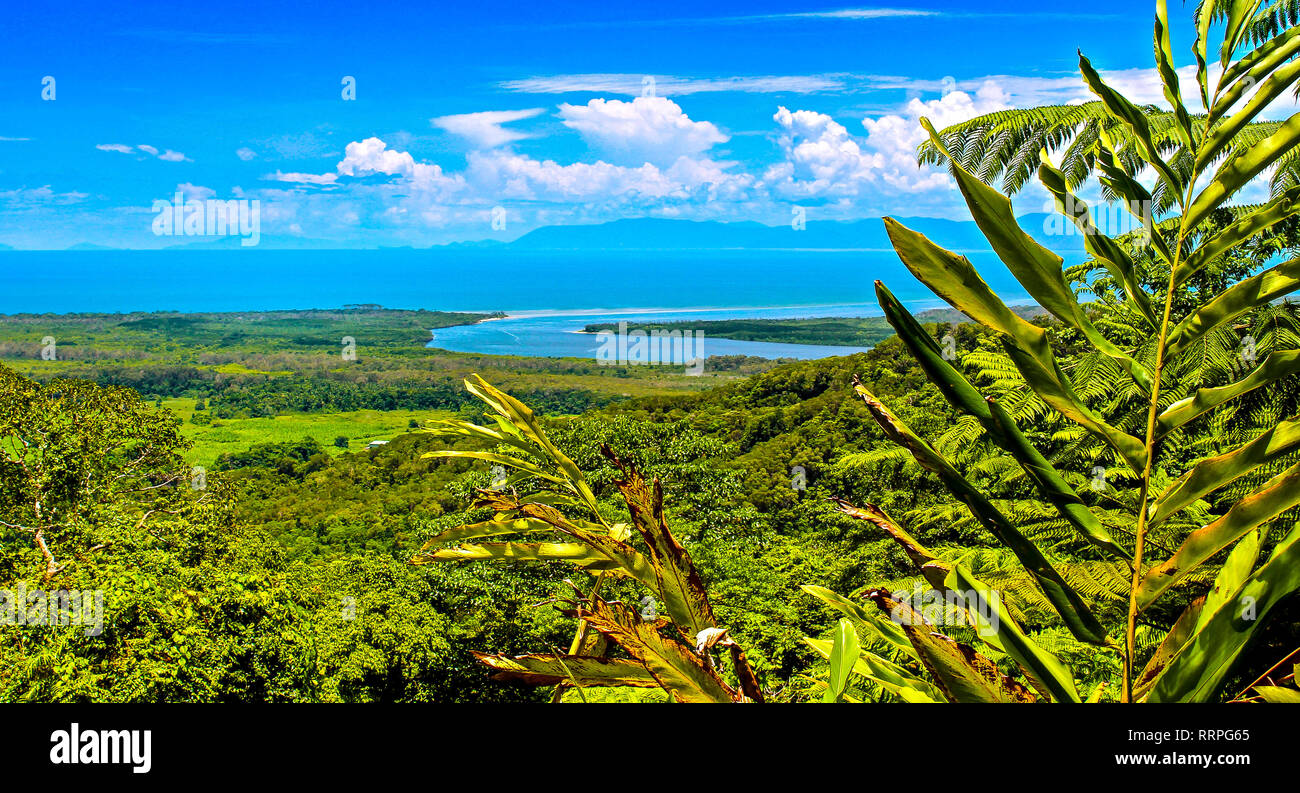 Australian rainforest look with jungle, daintree river and coastline Stock Photo