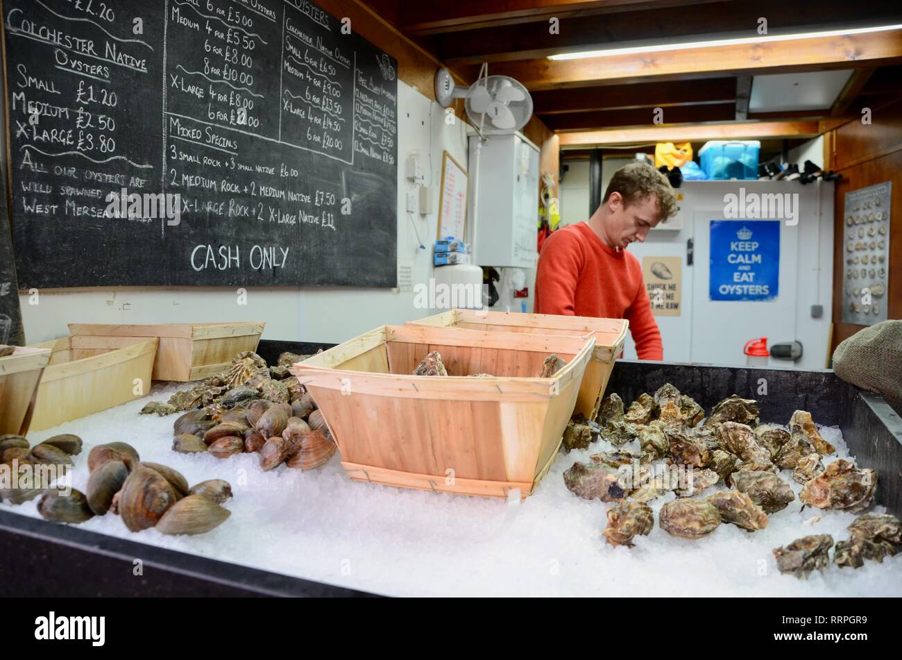 a fresh oyster bar at londons borough market UK Stock Photo Alamy