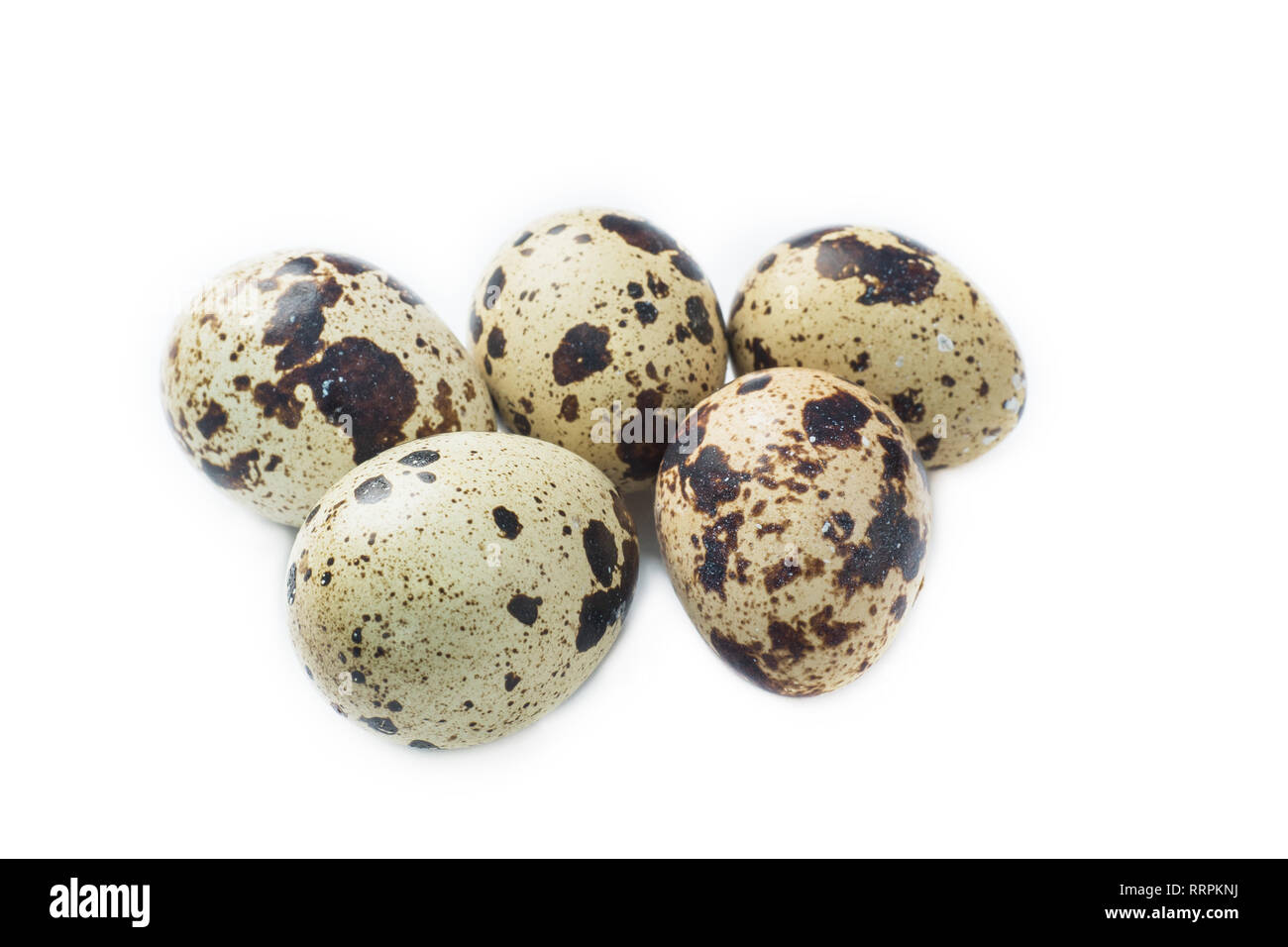 Quail eggs isolated on white. Selective focus. Stock Photo