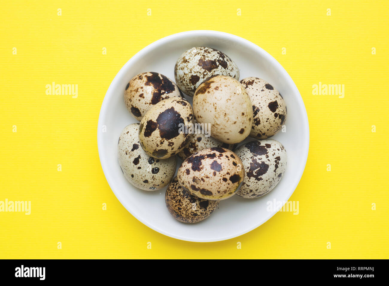 quail eggs on yellow background with copy space Stock Photo