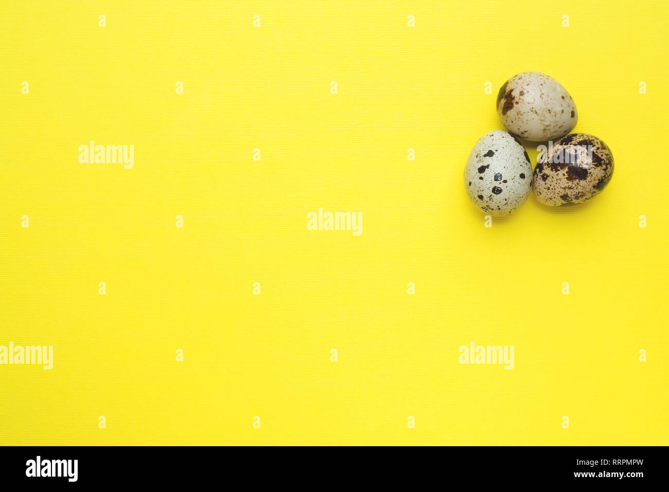 quail eggs on yellow background with copy space Stock Photo