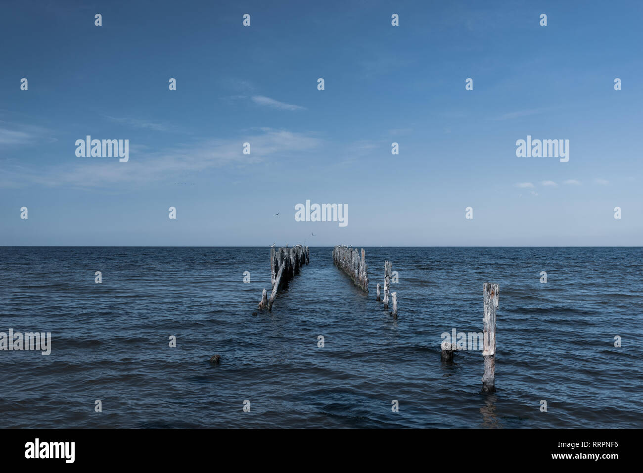 Foundation of wooden piles hi-res stock photography and images - Alamy