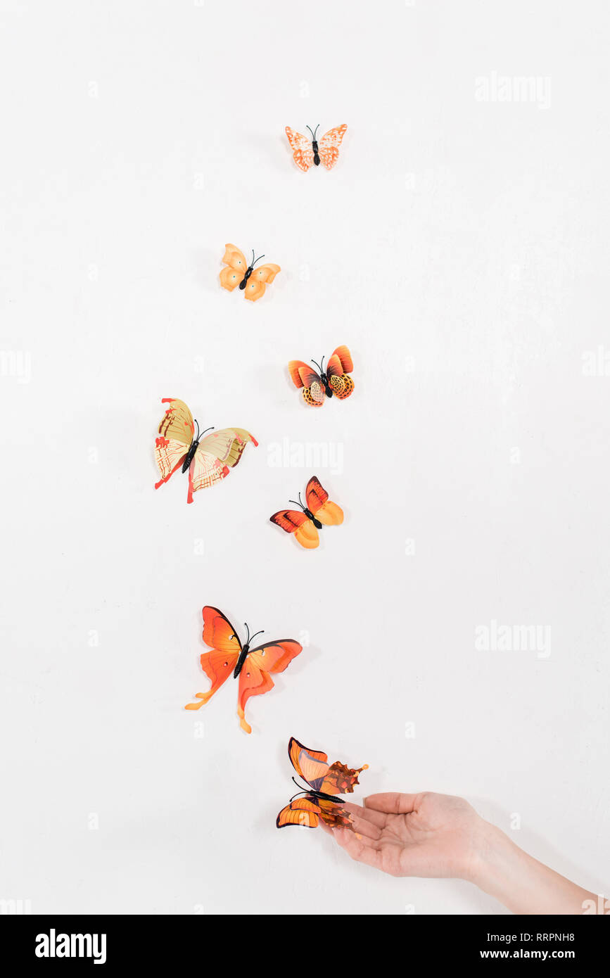 Cropped View Of Woman Releasing Orange Butterflies On White Background Environmental Saving Concept Stock Photo Alamy