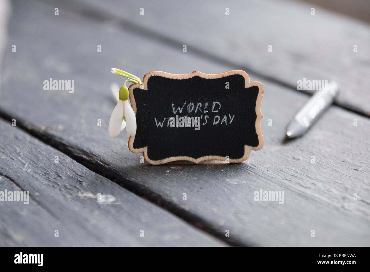 world writers day concept, greeting card, inscription and snowdrop Stock Photo