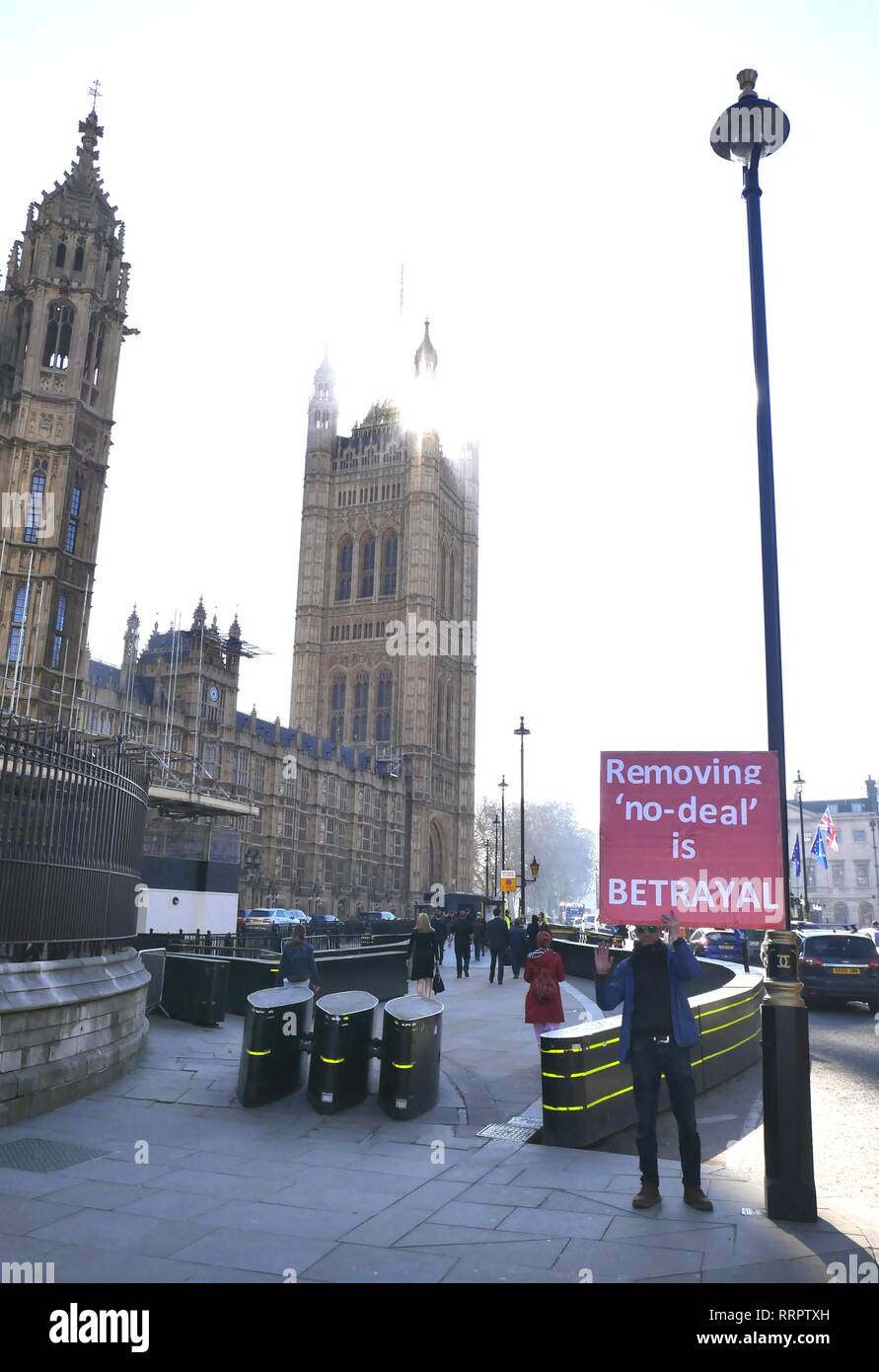 London, UK. 26th Feb, 2019. Pro and anti-Brexiteers continue to protest outside Parliament. Credit: Brian Minkoff/Alamy Live News Stock Photo