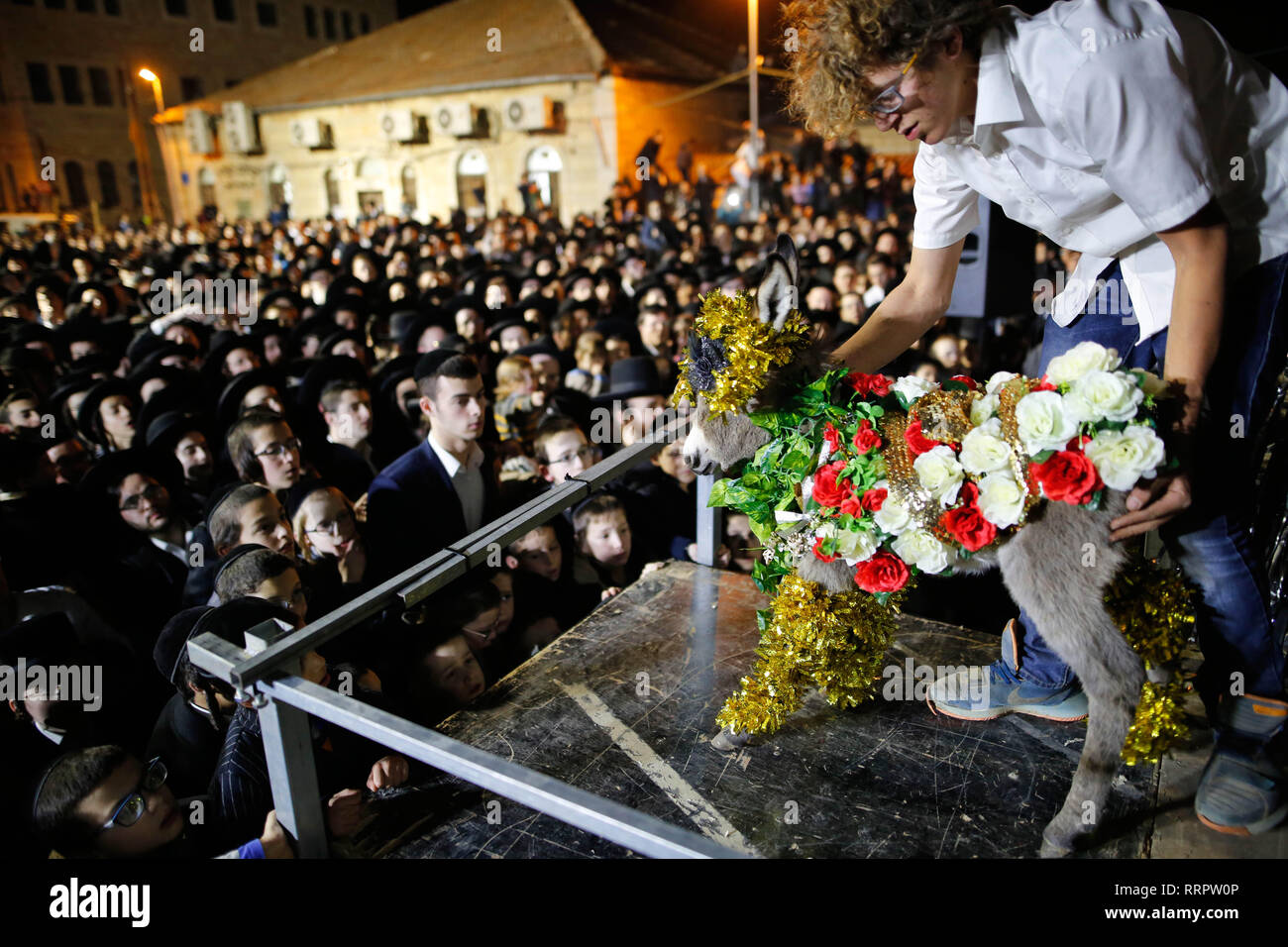 (190226) -- JERUSALEM, Feb. 26, 2019 (Xinhua) -- Ultra-Orthodox Jews take part in the ritual 'Peter Chamor' ceremony in Mea Shearim neighborhood in Jerusalem, on Feb. 25, 2019. 'Peter Chamor', or redemption of the firstborn donkey, is a ceremony where a firstborn donkey is given to the Cohen (Jewish priest) as a gift, then redeemed by the owner of the donkey with a kosher animal or money. (Xinhua/Gil Cohen Magen) Stock Photo