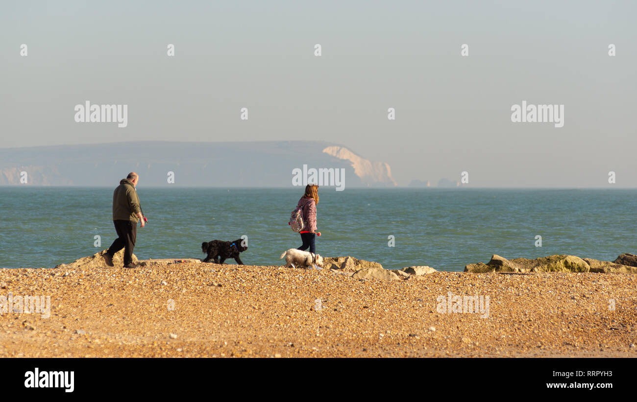 Couple walking with dogs along the pebbly beach at Hengistbury Head, Christchurch, Dorset, England, UK, in warm February sunshine, 2019 Stock Photo