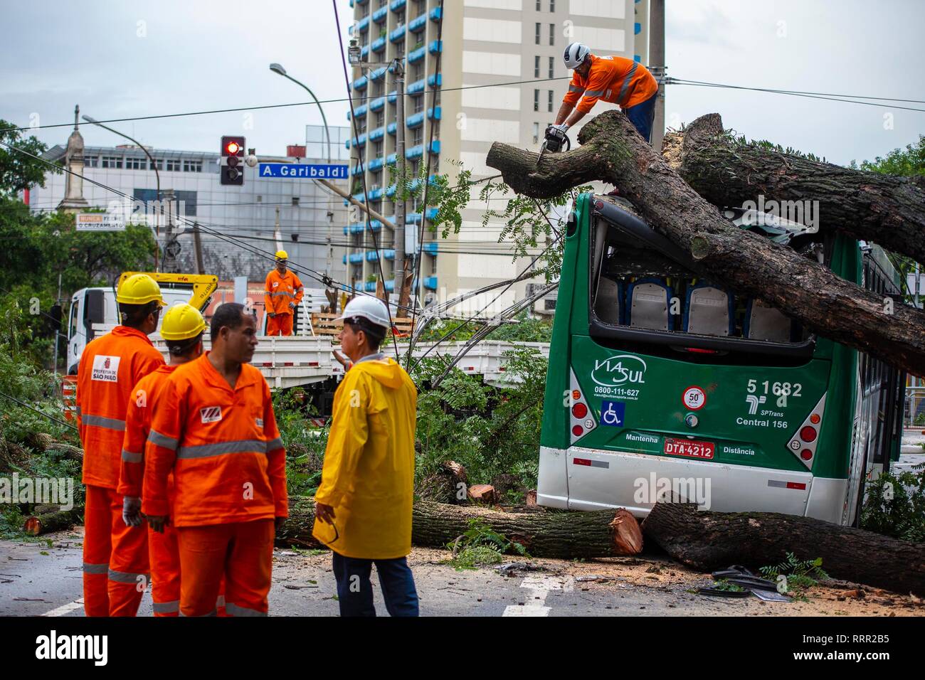 SP - Sao Paulo - 02/26/2019 - Quao de arvore praca Joao Mendes - Municipal officials cut a large tree that fell on the back of a bus on the afternoon of Tuesday 26 in Praca Joao Mendes, region of Se, center of the city of Sao Paulo. The accident occurred around 13 hours and 45 minutes, there is no information about the injured. Photo: Suamy Beydoun / AGIF Stock Photo
