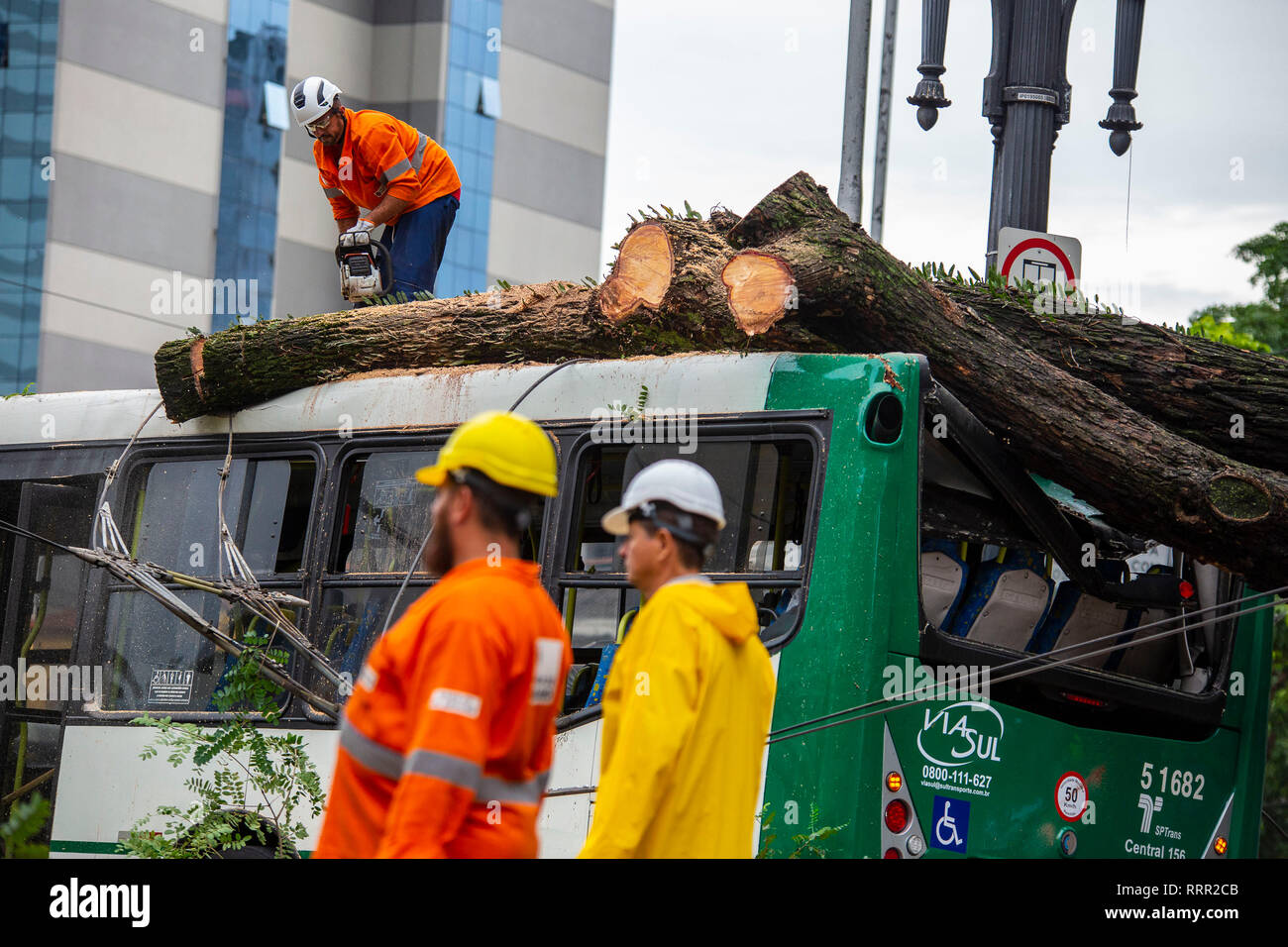 SP - Sao Paulo - 02/26/2019 - Quao de arvore praca Joao Mendes - Municipal officials cut a large tree that fell on the back of a bus on the afternoon of Tuesday 26 in Praca Joao Mendes, region of Se, center of the city of Sao Paulo. The accident occurred around 13 hours and 45 minutes, there is no information about the injured. Photo: Suamy Beydoun / AGIF Stock Photo