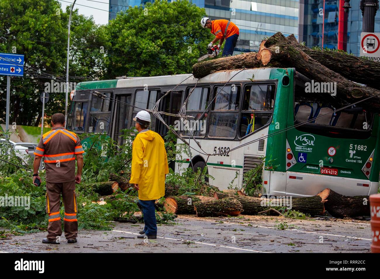 SP - Sao Paulo - 02/26/2019 - Quao de arvore praca Joao Mendes - Municipal officials cut a large tree that fell on the back of a bus on the afternoon of Tuesday 26 in Praca Joao Mendes, region of Se, center of the city of Sao Paulo. The accident occurred around 13 hours and 45 minutes, there is no information about the injured. Photo: Suamy Beydoun / AGIF Stock Photo