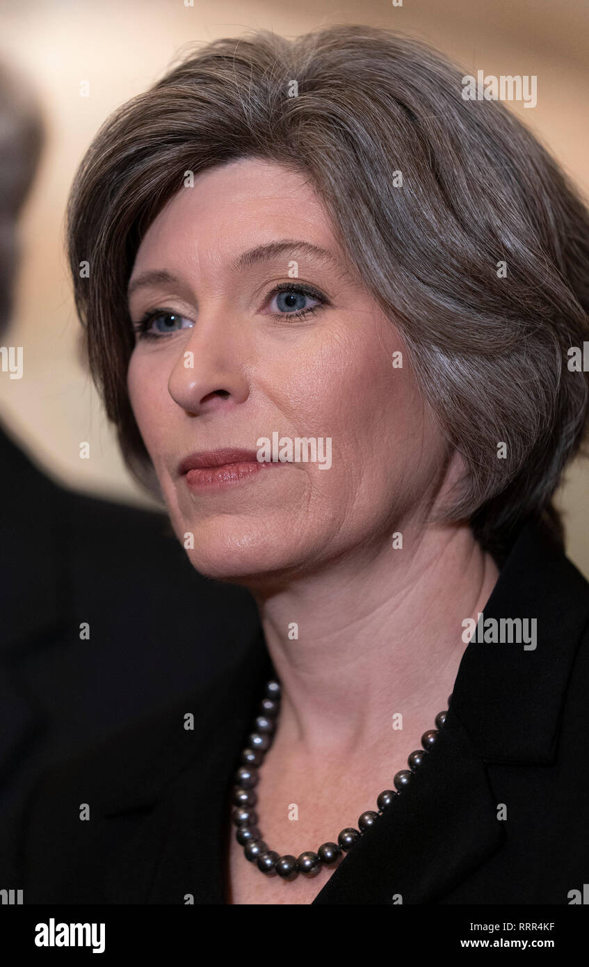 United States Senator Joni Ernst (Republican of Iowa) speaks on Capitol ...