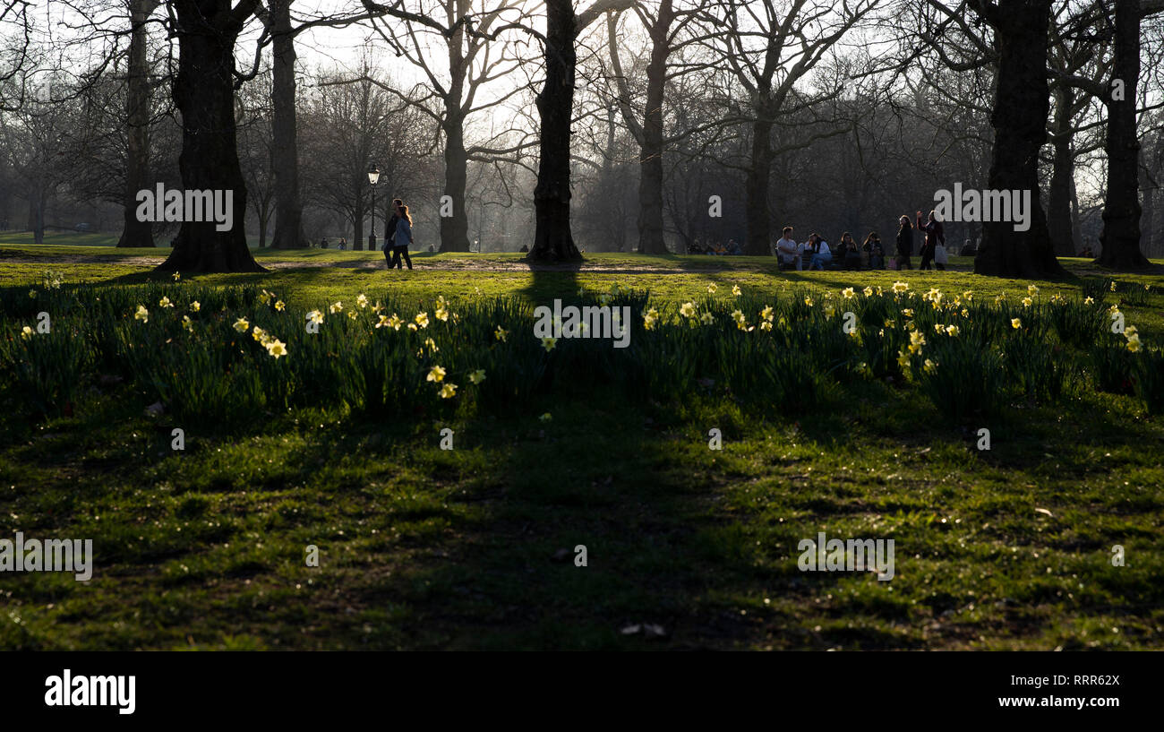 London, Britain. 26th Feb, 2019. People enjoy leisure time at the Green Park in London, Britain, on Feb. 26, 2019. Britain experienced its warmest February day on record Monday as the highest temperature reached 20.3 degrees Celsius in Wales. It was also the first time that a temperature exceeding 20 degrees in winter was recorded. It broke Britain's record of the highest February temperature of 19.7 degrees set at Greenwich in 1998. Credit: Han Yan/Xinhua/Alamy Live News Stock Photo