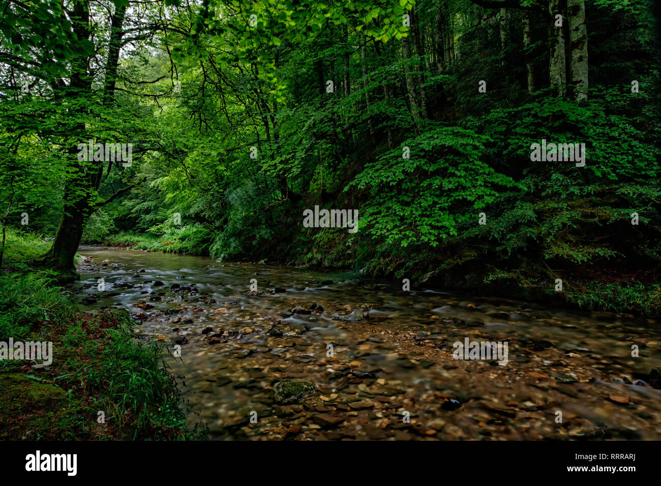river in the north of navarra Stock Photo - Alamy