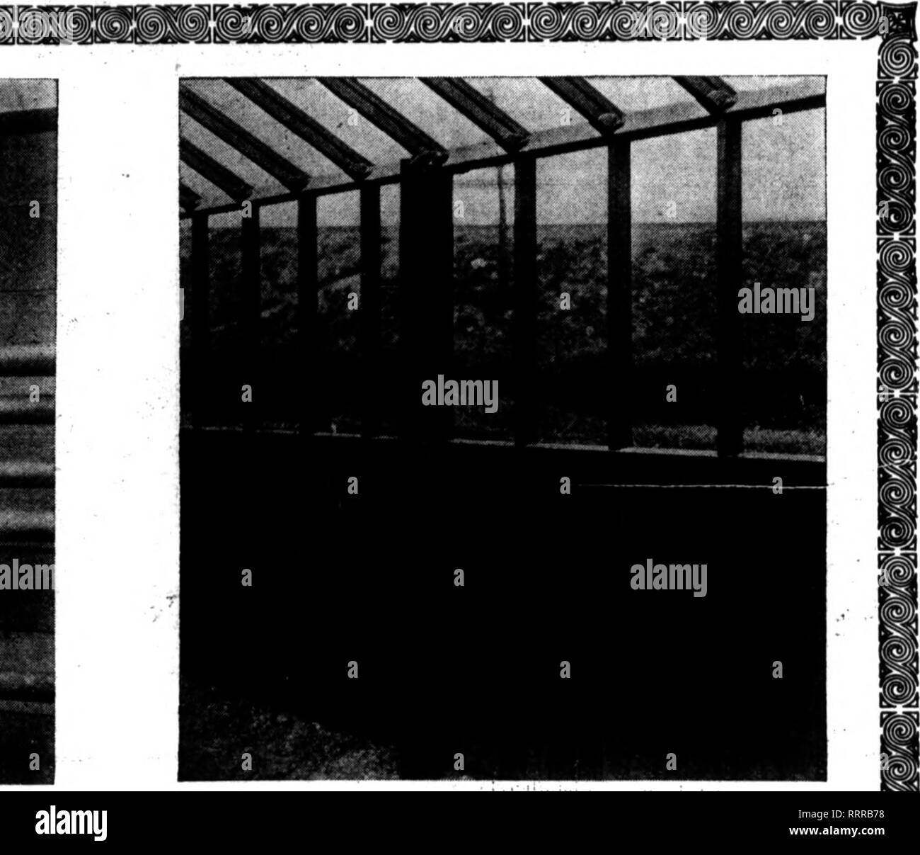 . Florists' review [microform]. Floriculture. Dbcbmbeb 31, 1014. The Horists' Review 85 '^^^^^^^^^^^H ^^^^^^^^^^^^^H y ^ 1 '« ^^^^^H^^^HHH|. This is what happens to wooden posts in a few years. Our wrought iron post ousht to last a half century or more. How Our Greenhouse Posts Save You Money THEY SAVE YOU MONEY by making you spend less money. Putting it the other way about—you do actually spend more at the very start—but that's the end of it. Listen to this—30 years ago we put up some houses for the Piersons at Scarboro. N. Y., and used wrought iron posts. Five years ago in replacing the base Stock Photo