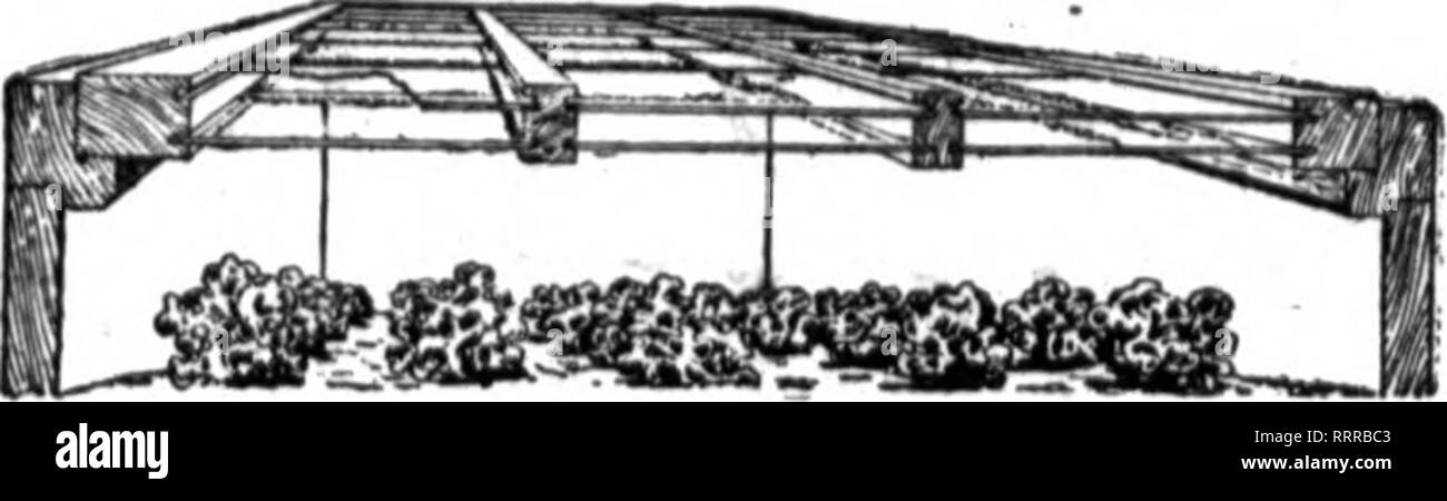 Florists Review Microform Floriculture Two Layers Of Glass