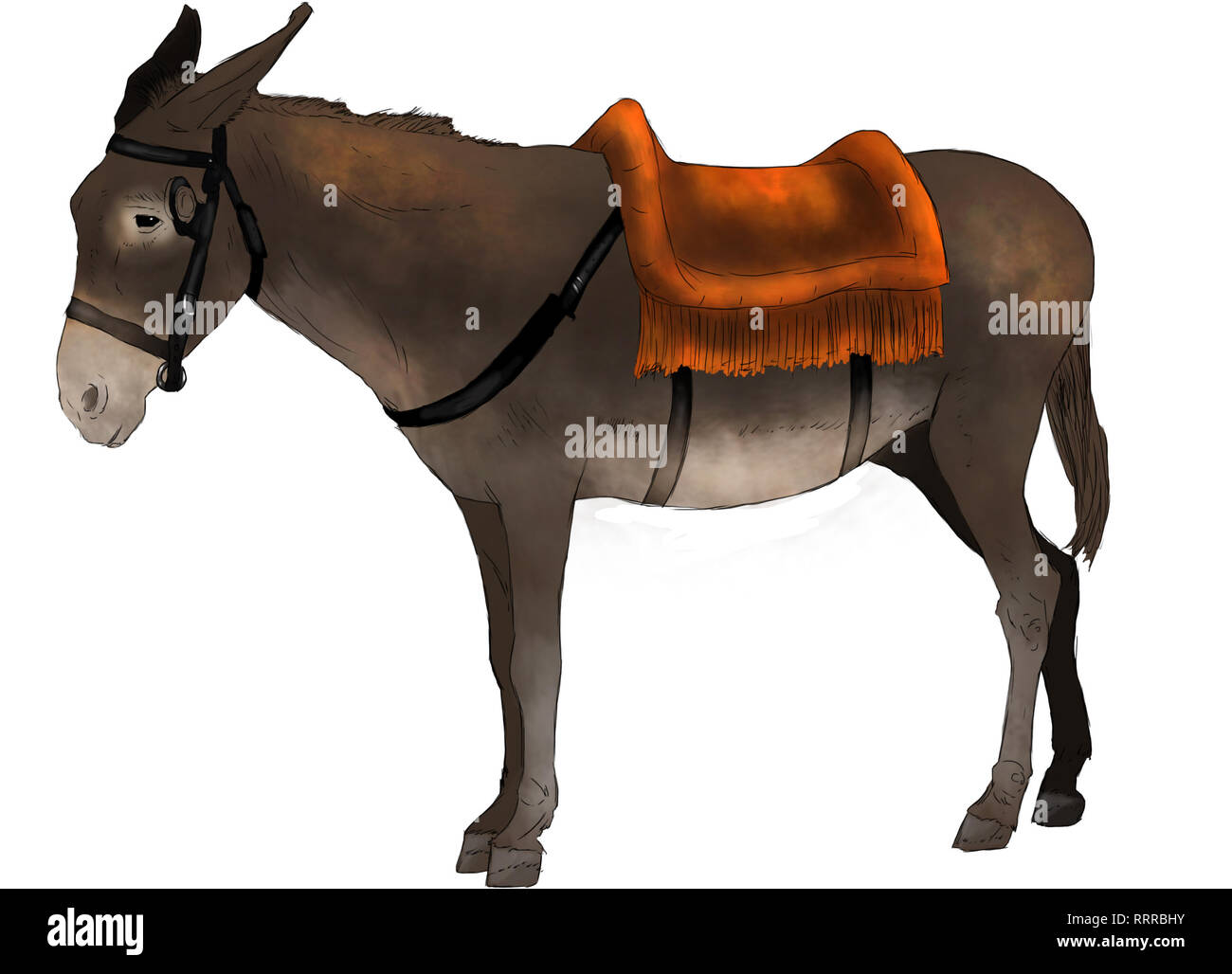Donkey Cut Out Stock Images & Pictures - Alamy