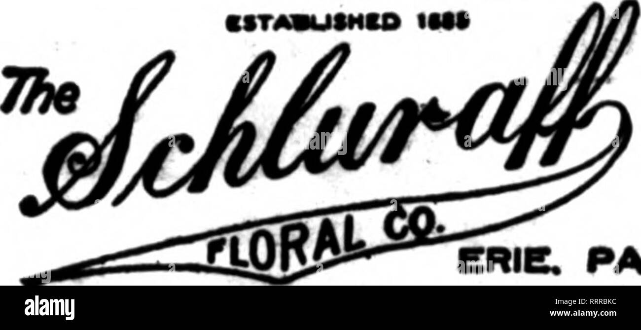 Florists Review Microform Floriculture 1808 Pacific Av Member Florlats Telegraph Deurerj Phiups Bros 938 Broad Sl Newark N J Artis4 Rtorar Work And Imqr Sten Beauties Ouf Specialty Runtclair N J Leadlne Plortot