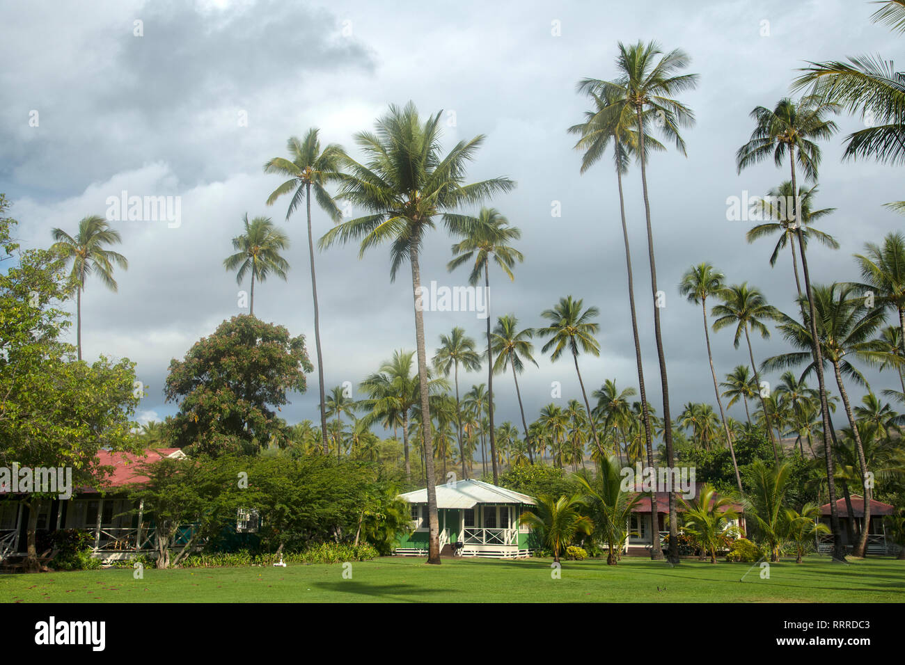 South Pacific Usa Hawaii Hawaiian Island Kauai Waimea