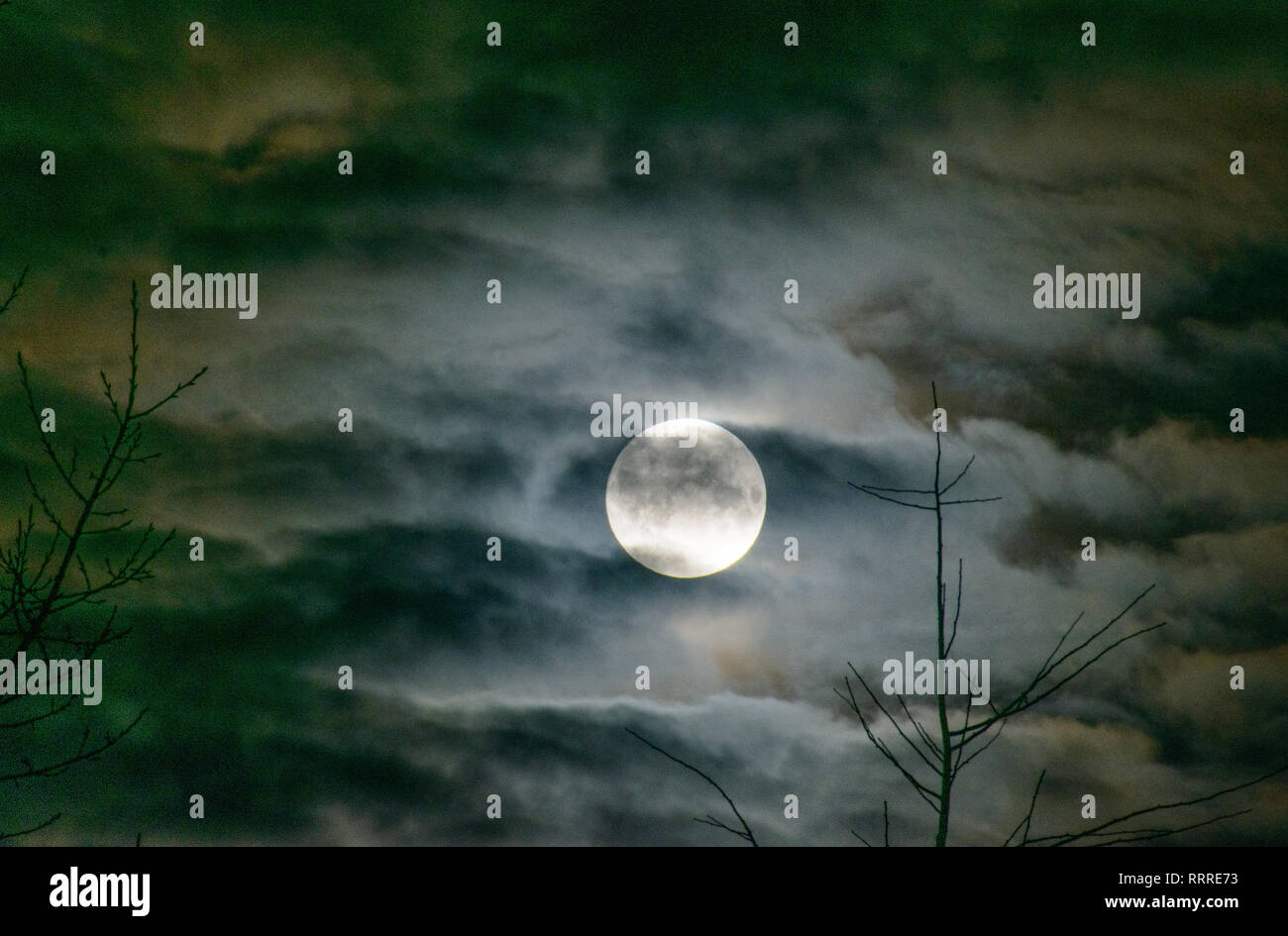 Full moon, cloudy sky. Stock Photo
