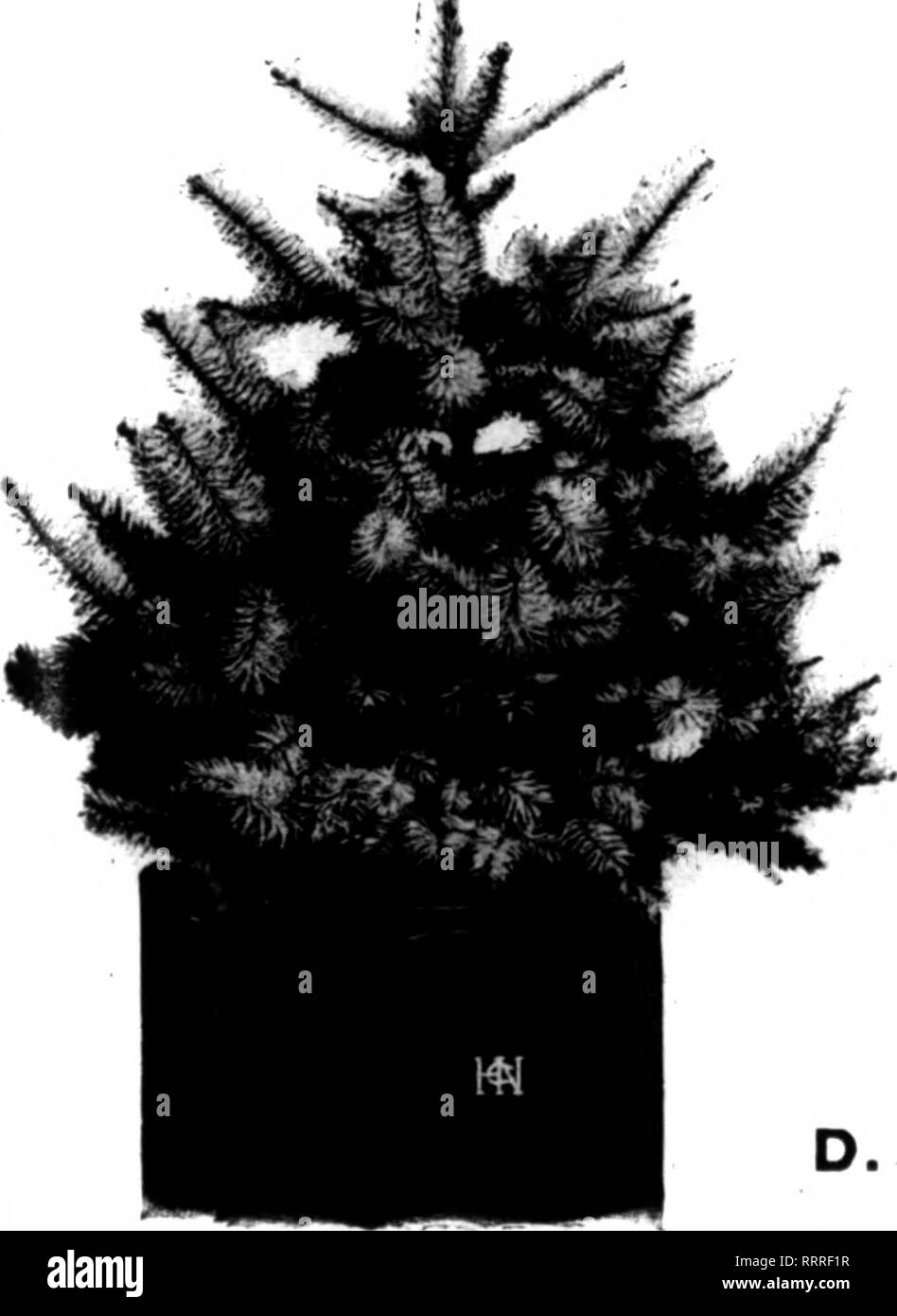 Florists Review Microform Floriculture H H N Cq Hill S