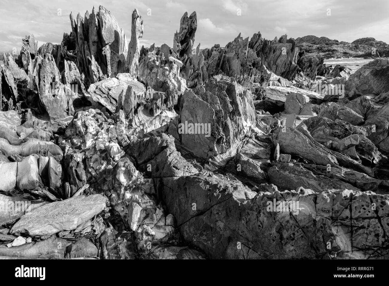 Oceania, Australia, Australian, Down Under, Tasmania, Tarkine Coast