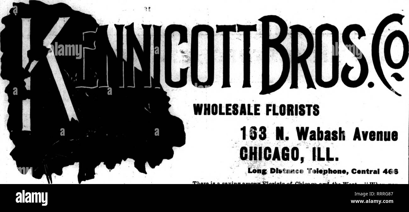 . Florists' review [microform]. Floriculture. P.V*K f^ '&quot;?&gt;&quot; 'ii PQCBUBEB' 17, lQl&lt;kr i^', The FJoristsVRcyicw u IT. WHOLESALE FLORISTS 163 N. Wabash Avenue CHICAGO, ILL. XonS Dlstanc* T«l«phon«, Central 466 There is a sayinv amonx Florisis of Chicago and the West—&quot; When you are stuck, go to Kennicott's-you can get it there.&quot; CHRISTMAS Flowers and Greens ORDER EVERYTHING YOD NEED-YOU CAN GlET IT ALLHERE BOXWOOD Fancy, 60-lb. case, $7.60-$8; bunch,30c LEUCOTHOE Fine long stock 76c per 100 MEXICAN Ivy Fancy stock 60c per 100 GALAX Green or bronze $1.26 per 1000 ASPARAG Stock Photo