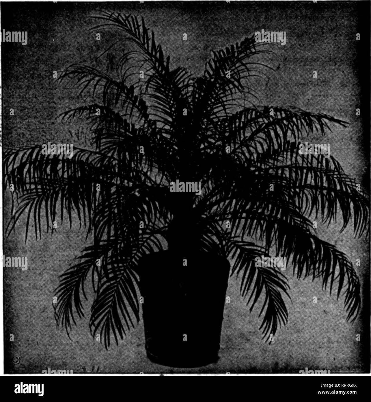 Florists Review Microform Floriculture We Are Offering