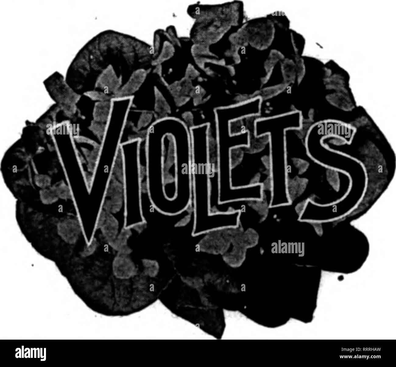 Florists Review Microform Floriculture Style Show Widdow Of