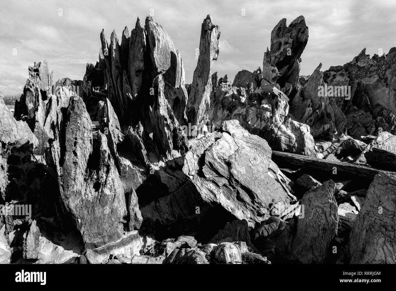 Oceania, Australia, Australian, Down Under, Tasmania, Tarkine Coast