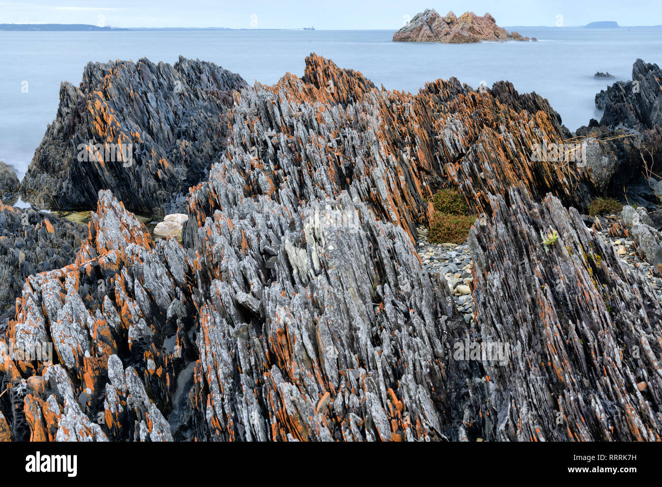 Oceania, Australia, Australian, Down Under, Tasmania, Tarkine Coast, Stock Photo