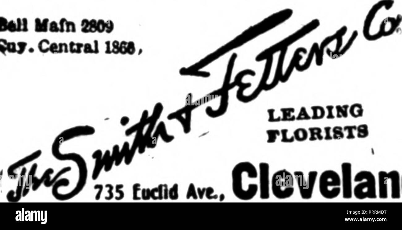 Florists Review Microform Floriculture 46 The Florists Review Notshbbb 26 1014 Leading Retail Florists Llbmlrilflorisb