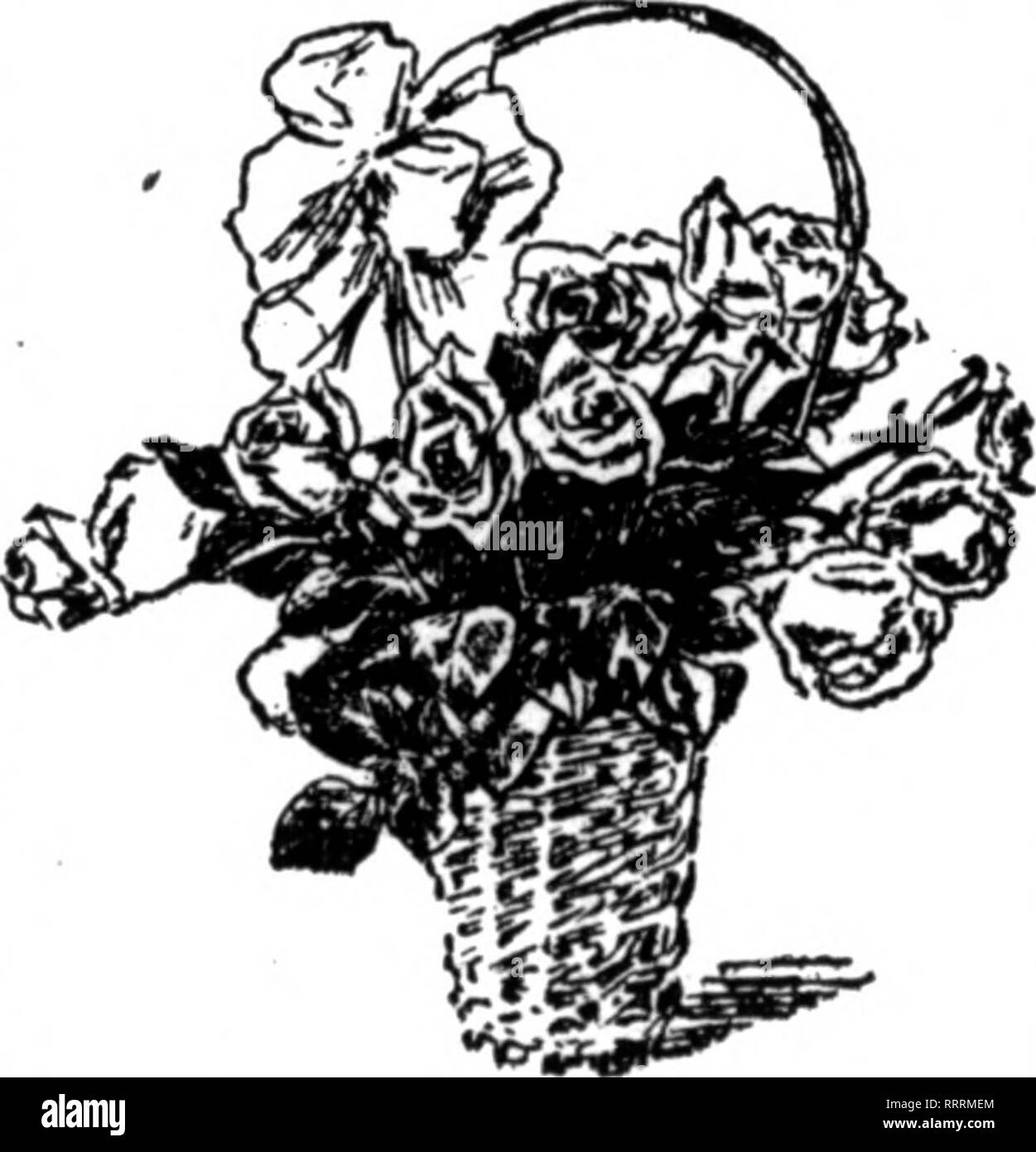 Florists Review Microform Floriculture The Florists Review Mabch 12 1914 Retail Store Management What The Leaders In The Trade Are Doing Baskets And Flowers One Of The New Ways Of Retailing Cut