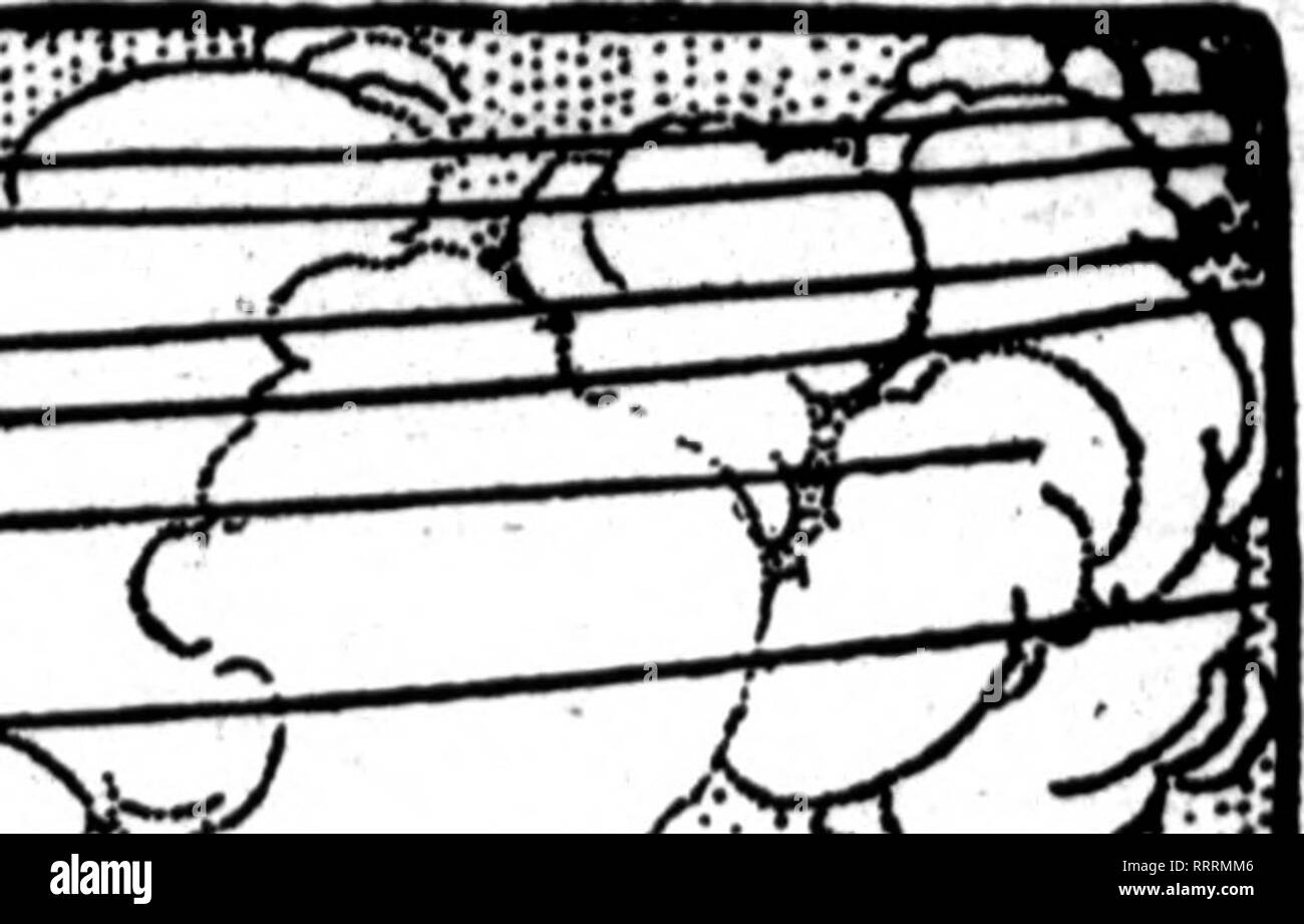 Florists Review Microform Floriculture M M