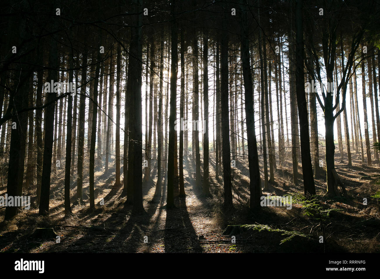 Limpsfield Chart Hi res Stock Photography And Images Alamy limpsfield-chart-hi-res-stock-photography-and-images-alamy