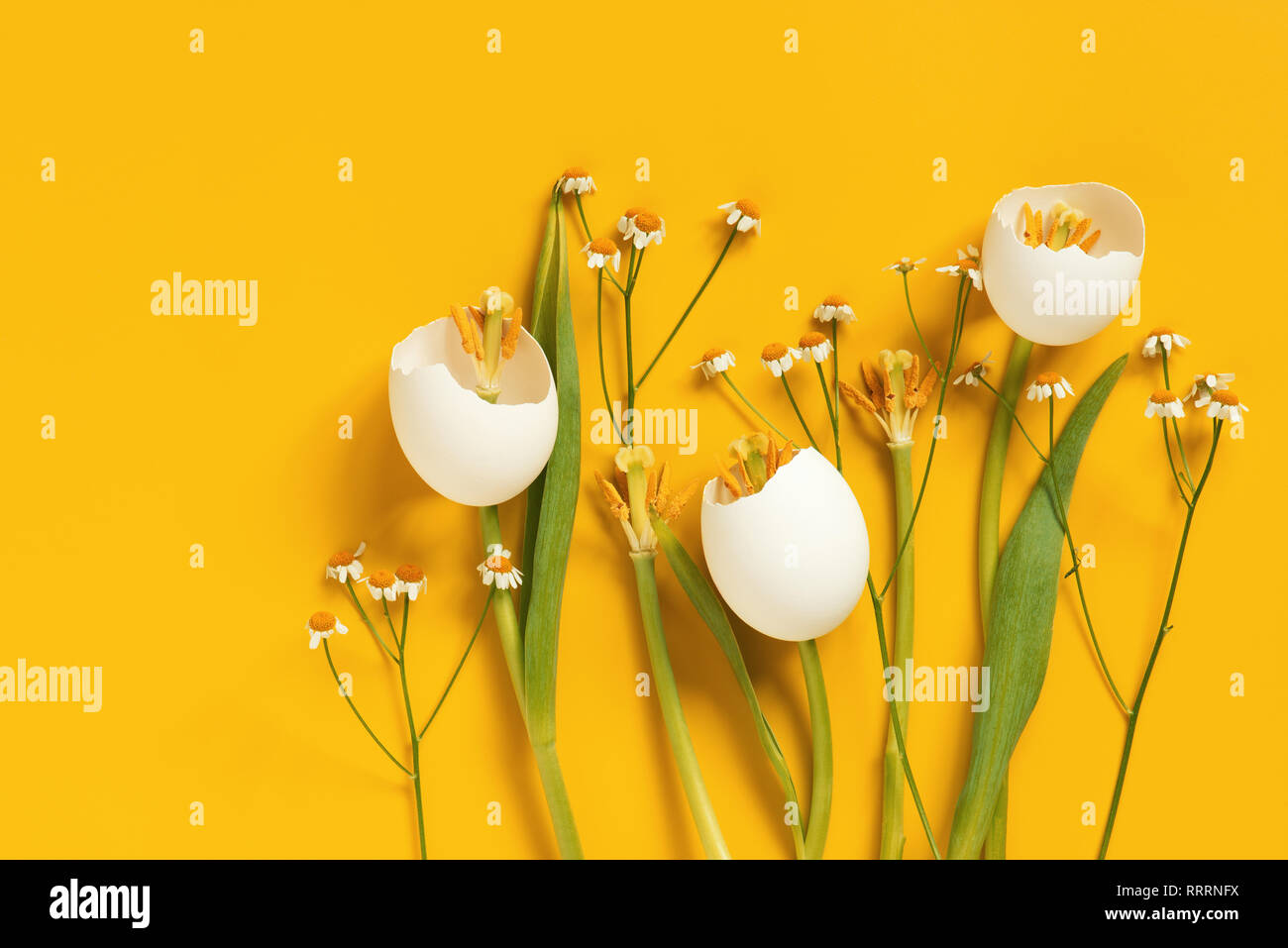 Spring Easter flowers made of eggshell on yellow, creative composition Stock Photo