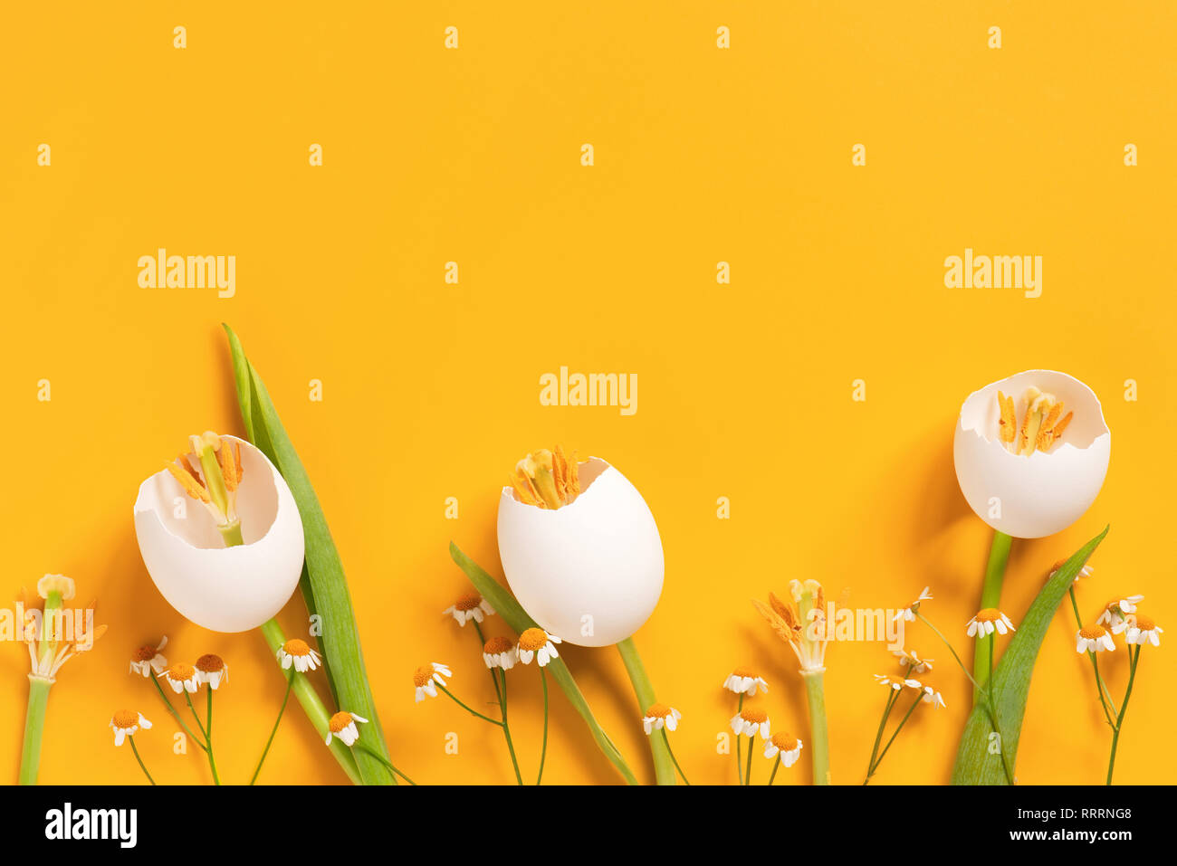 Bright yellow background with spring Easter flowers made of eggshell, creative composition Stock Photo