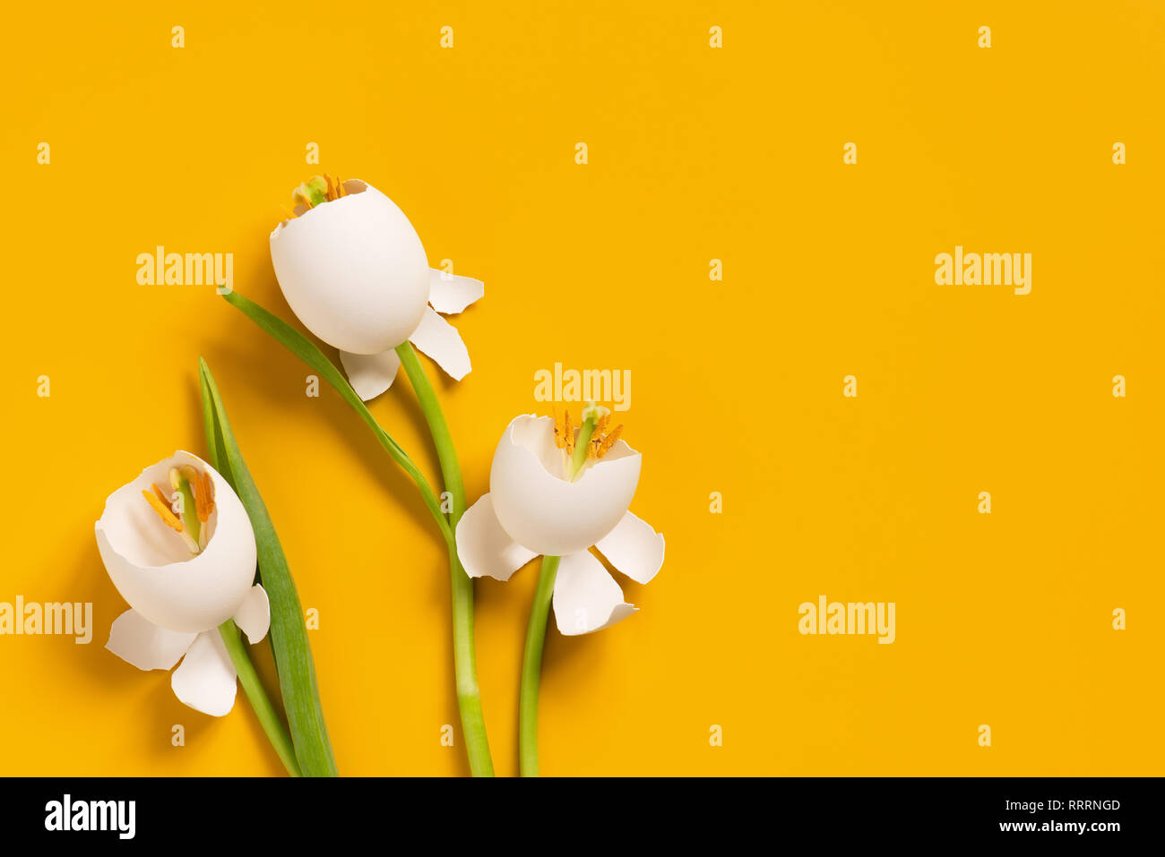 Spring Easter flowers made of eggshell, creative composition Stock Photo