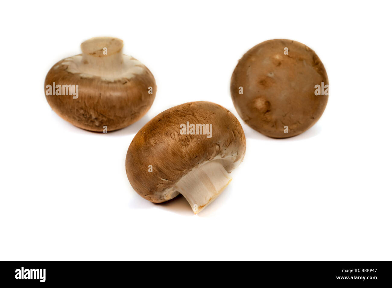 Fresh whole brown (Baby Bella) mushrooms isolated on a white background