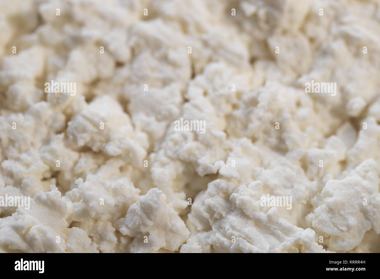 fresh homemade white cottage cheese macro Stock Photo Alamy