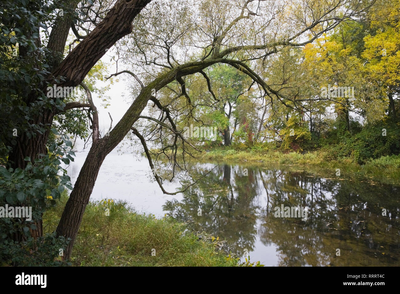 Mille-Iles river in autumn, Ile des Moulins, Old Terrebonne, Lanaudiere, Quebec, Canada Stock Photo
